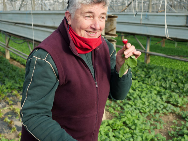 Martine maraichère à Breal sous Montfort fait pousser les légumes en musique